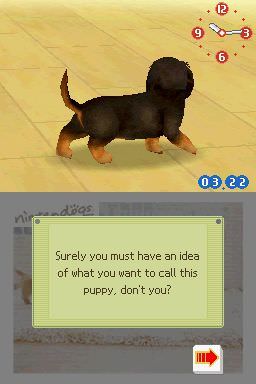 Nintendogs: Dachshund & Friends