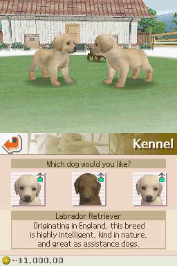 Nintendogs: Lab & Friends