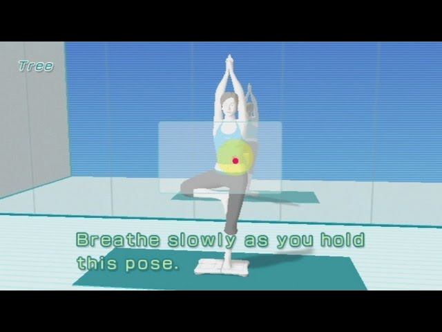 Wii Fit