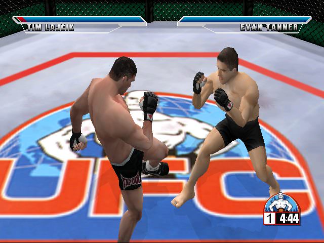 Ultimate Fighting Championship